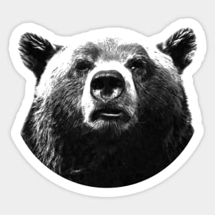 Black and White Bear Sticker